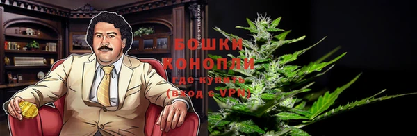 шишки Ленинск