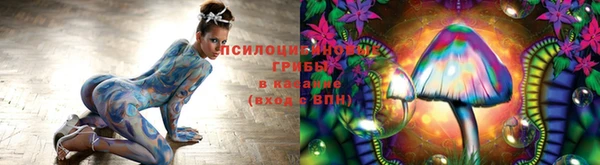 хмурый Гусь-Хрустальный