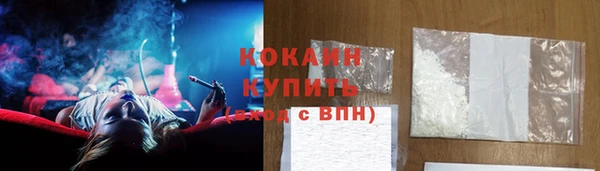 хмурый Гусь-Хрустальный