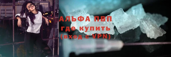 хмурый Гусь-Хрустальный