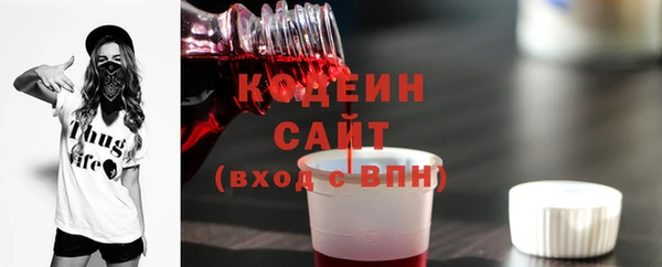 хмурый Гусь-Хрустальный