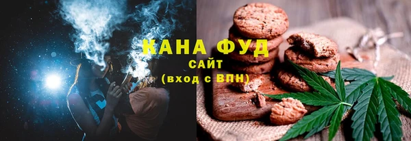 хмурый Гусь-Хрустальный