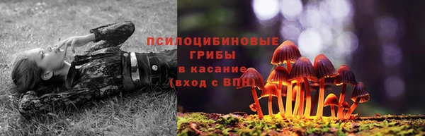 mdpv Гусиноозёрск