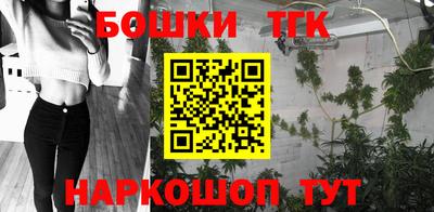 индика Беслан