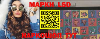 индика Беслан