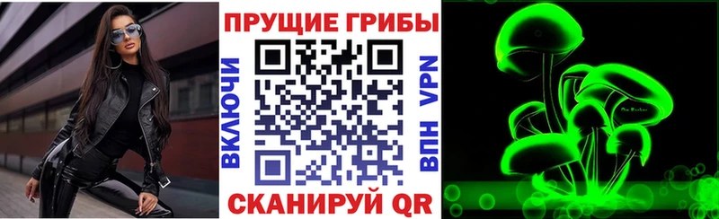 сколько стоит  Переславль-Залесский  Псилоцибиновые грибы Psilocybe 
