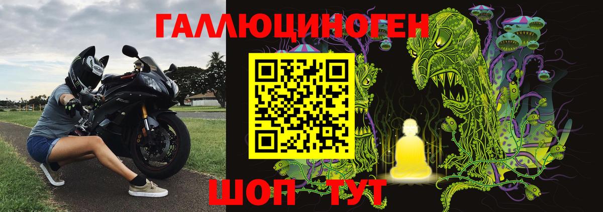 Переславль-Залесский  Псилоцибиновые грибы прущие грибы  Вход с VPN 